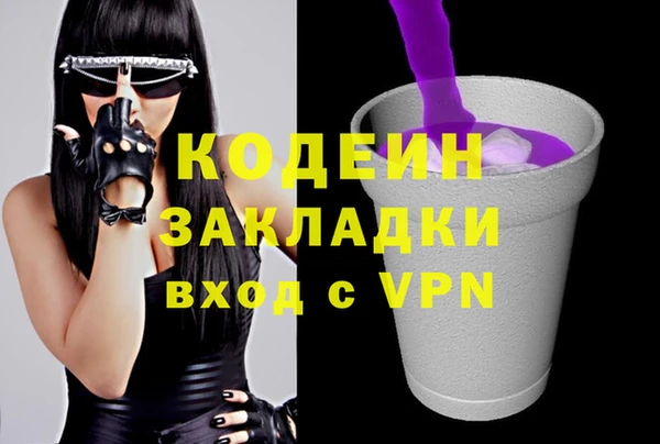 индика Верхний Тагил