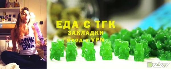 индика Верхний Тагил