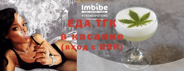 индика Верхний Тагил