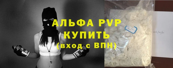 индика Верхний Тагил