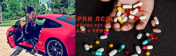 индика Верхний Тагил