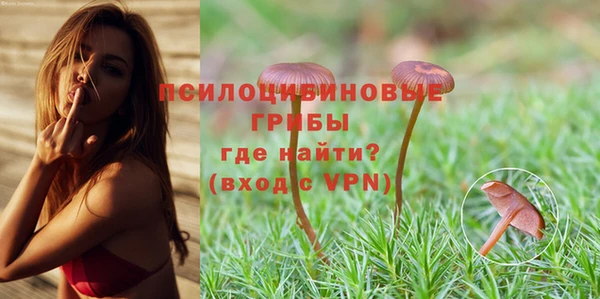 каннабис Верея