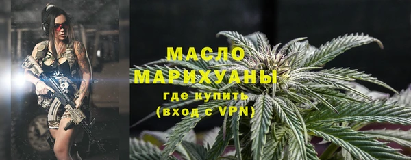индика Верхний Тагил
