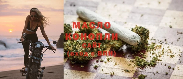 индика Верхний Тагил