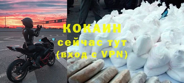 индика Верхний Тагил