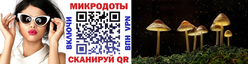 Псилоцибиновые грибы мицелий  наркота  Касли 
